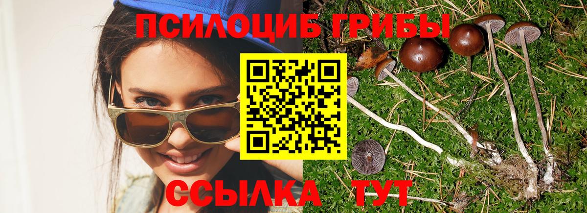 Псилоцибиновые грибы ЛСД  Вход с VPN  Ревда  Псилоцибиновые грибы мицелий 